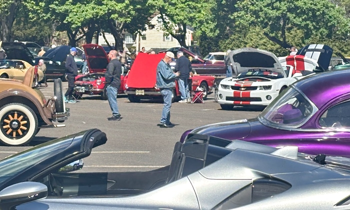 lineup of classic cars
