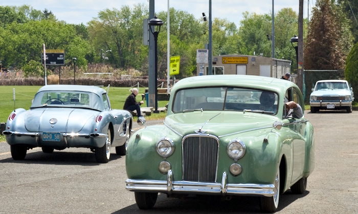 more jaguars